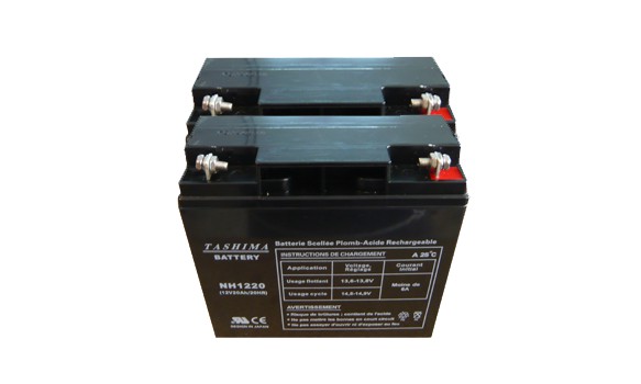 Kit batterie tondeuse équivalent GP24150 24V 20Ah