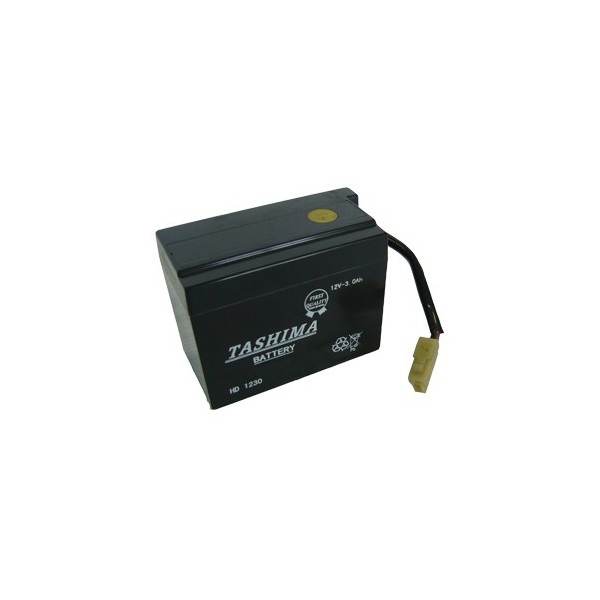 Batterie tondeuse honda h1011 #3
